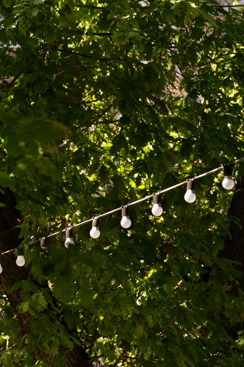 ბაღი